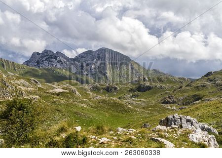 Beautiful Landscape In Montenegro With Fresh Grass And Beautiful Peaks. Durmitor National Park In Mo