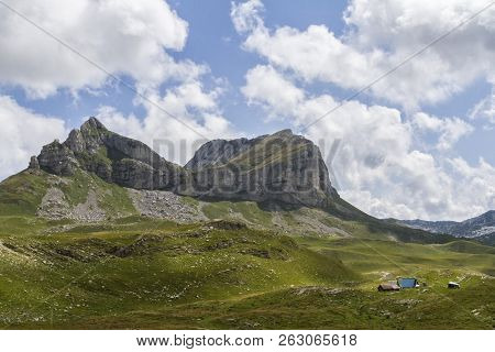 Beautiful Landscape In Montenegro With Fresh Grass And Beautiful Peaks. Durmitor National Park In Mo