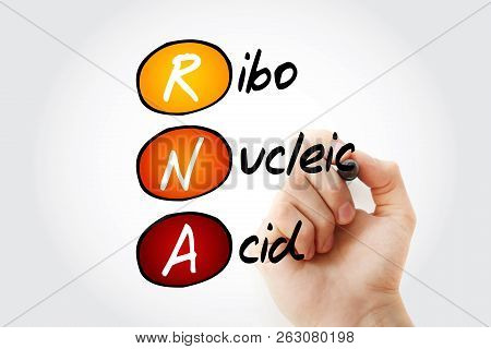 Rna - Ribonucleic Acid, Acronym Concept Background