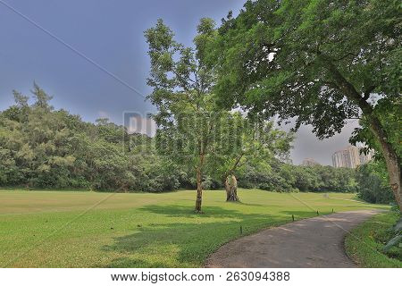 Walk Way And Green Field At Golf Club