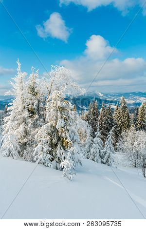 Winter Calm Mountain Landscape With Beautiful Frosting Trees And Snowdrifts On Slope (carpathian Mou