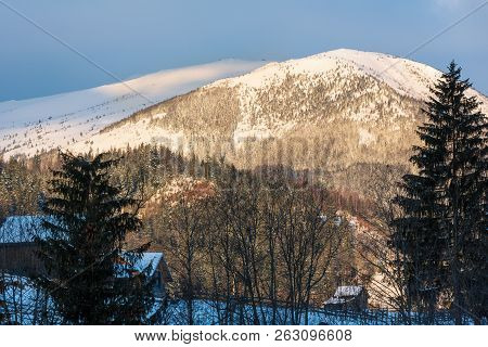 Sunrise Morning Winter Snow Covered Scenery Picturesque Alp Mountain Ridge (ukraine, Carpathian Moun