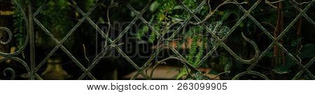 Horizontal Banners Of Old Iron Fence On A Natural Background. Vintage Iage Style