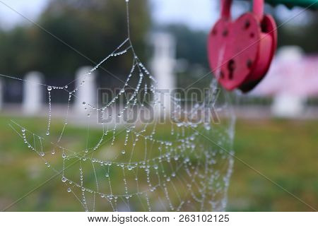 Web On Red Lock It Is  Brida  Tradition