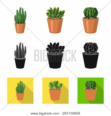 Vector Design Of Cactus And Pot Icon. Set Of Cactus And Cacti Vector Icon For Stock.
