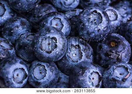 Fresh Ripe Blueberries With Drops Of Dew. Berry Background. Macro Photo.
