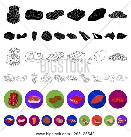 Different Meat Flat Icons In Set Collection For Design. Meat Product Vector Symbol Stock Web Illustr