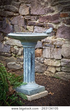 An Antique Cast Iron Birdbath Along A Rock Wall In Garden.