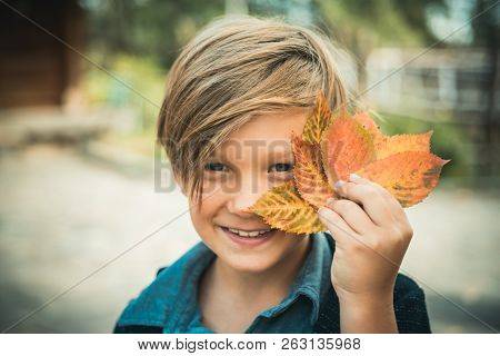 Fair-haired Kid Playing With Leaves And Looking At Camera. Back To School. Bye Summer - Hi Autumn. S