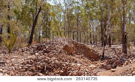 Abandoned Diggings In Central Queensland Gem Fields Australia Invaded With Prickly Pear