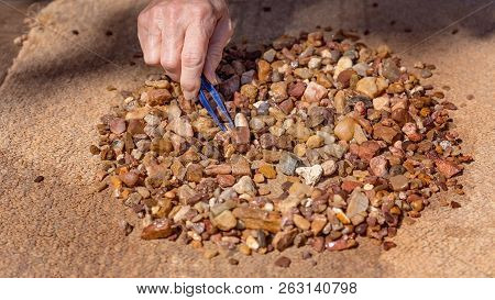 Prospecting For Sapphires By Hand Looking For Shiny Stones