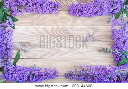 Beautiful Buddleia Shrub Flowers On Wooden Background.