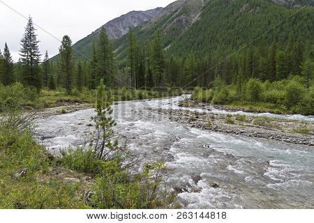 Altai Mountains. The Shawla River Above The Estuary Of The Yeshtykol River. August. Siberia, Russia.