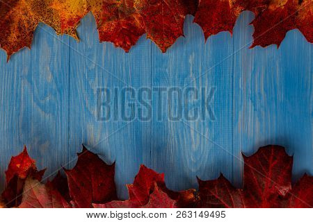 Colourful Autumn Leaves On A Wooden Blue Background