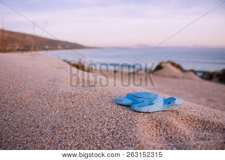 Blue Wooden Turtle On The Beach. 