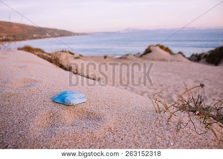 Blue Wooden Turtle On The Beach. 