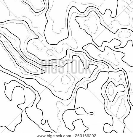 Topographic Map Contour Background. Contour Map Vector. Geographic World Topographic Map Grid Abstra