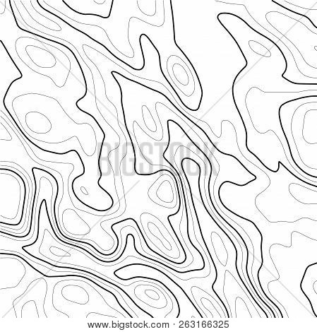 Topographic Map Contour Background. Contour Map Vector. Abstract Vector Illustration .