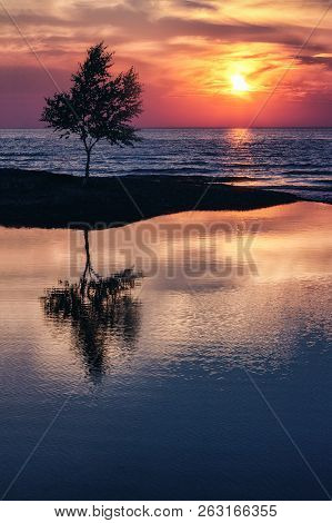 Lakeshore Sunset Silhouette. A Solitary Tree Casts Its Shadow Into The Calm Reflective Waters Of A D