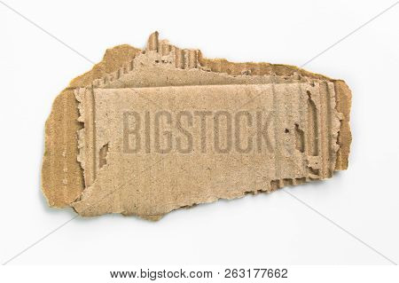 Brown Corrugated Texture Paper Torn On White Background. Rip Of Cardboard Sheet Used As A Background