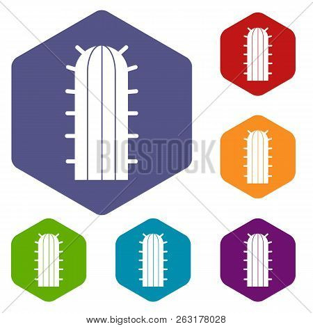 Cereus Candicans Cactus Icons Set Hexagon Isolated Illustration