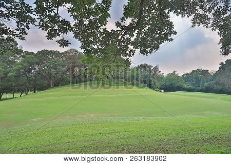 Green Golf Course Cart Path In Cloudy