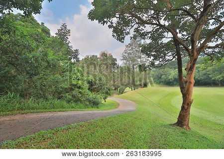 Walk Way And Green Field At Golf Club