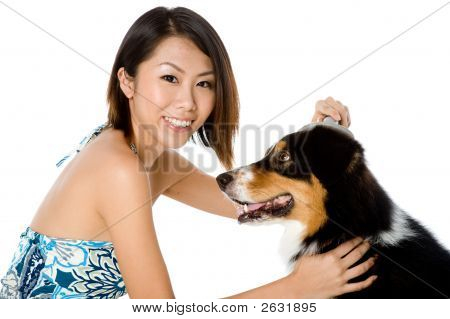 梳理狗