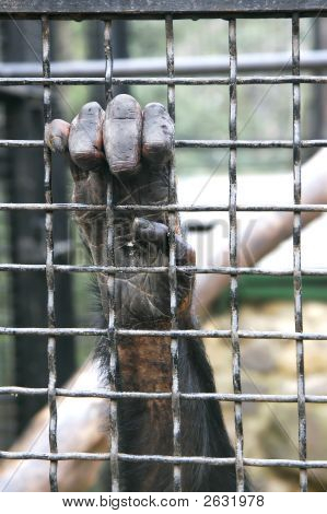 Ruka popadla kovové prolézačky