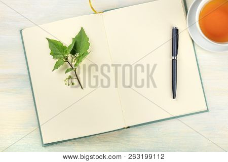 An Open Journal With A Branch With Green Leaves, A Pen, And A Cup Of Tea, Shot From Above On A Light