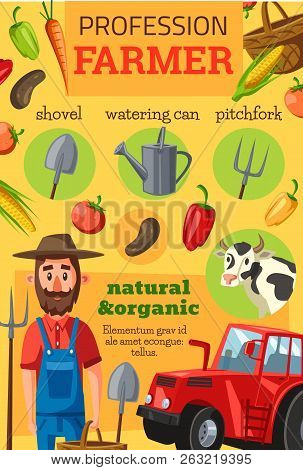 Farmer On The Farmfarm, Vector. Agriculture And Farming. Tractor, Vegetable Harvest, Cow And Tomato,