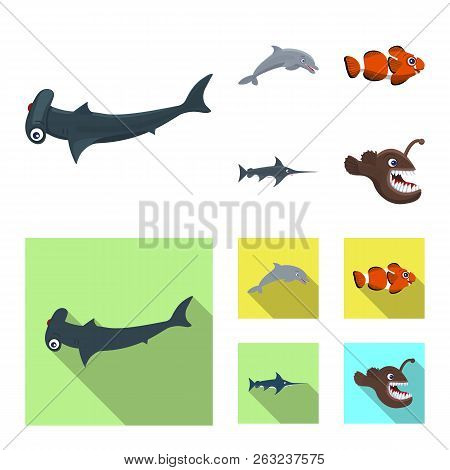 Isolated Object Of Sea And Animal Logo. Set Of Sea And Marine Stock Vector Illustration.