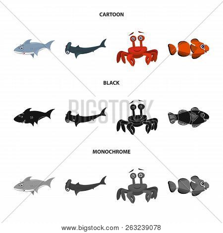 Vector Design Of Sea And Animal Sign. Collection Of Sea And Marine Vector Icon For Stock.