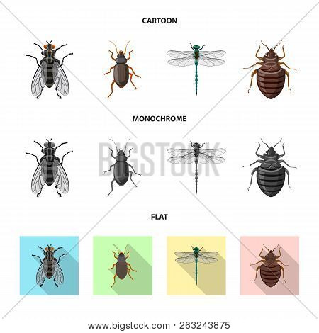 Vector Illustration Of Insect And Fly Logo. Collection Of Insect And Element Stock Vector Illustrati