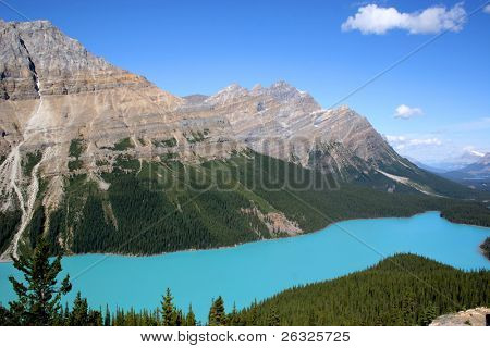 El hermoso azul turquesa del lago Peyto en el Parque Nacional de Banff.