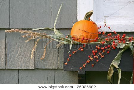 Malá dýně, některé stonky kukuřice a bobule použit pouze jako dekorace Truhlík.