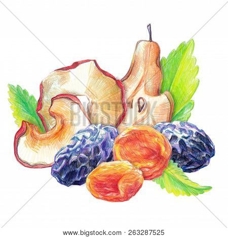 Assorted Dry Fruit Set With Mint Leaves Drawn With Color Pencil In Realistic Style. Isolated On Whit