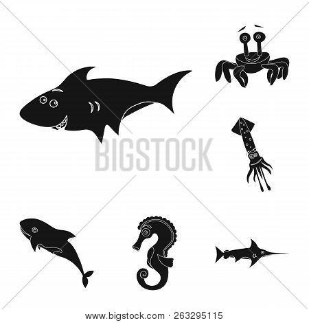Vector Illustration Of Sea And Animal Symbol. Set Of Sea And Marine Stock Symbol For Web.