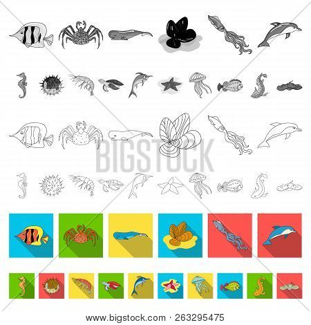 A Variety Of Marine Animals Flat Icons In Set Collection For Design. Fish And Shellfish Vector Symbo