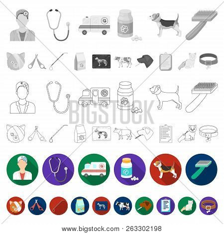 Veterinary Clinic Flat Icons In Set Collection For Design. Treatment Of A Pet Vector Symbol Stock We