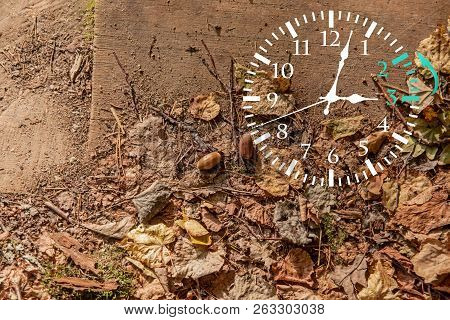 Autumn Landscape Abstraction. Fall Back Time. Daylight Saving Time