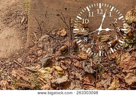 Autumn Landscape Abstraction. Fall Back Time. Daylight Saving Time