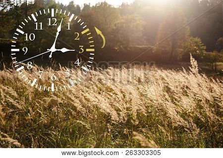Autumn Landscape Abstraction. Fall Back Time. Daylight Saving Time