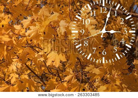 Autumn Landscape Abstraction. Fall Back Time. Daylight Saving Time