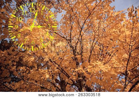 Autumn Landscape Abstraction. Fall Back Time. Daylight Saving Time