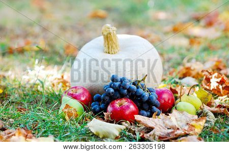 Pumpkin And Autumn Fruiis On A Grass With Fall Leaves