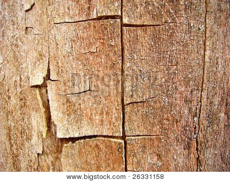 Old wood