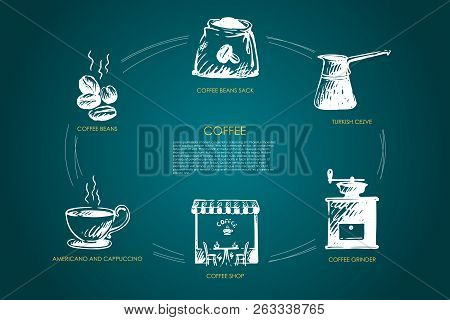Coffee- Beans, Americano And Cappucino, Coffee Shop, Grinder, Turkish Cezve, Bean Sack Vector Concep