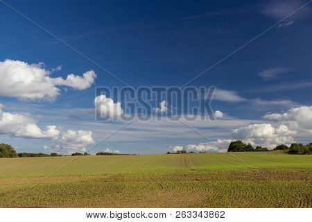 Fields And Meadows Of The Northern Sjelland, Denmark