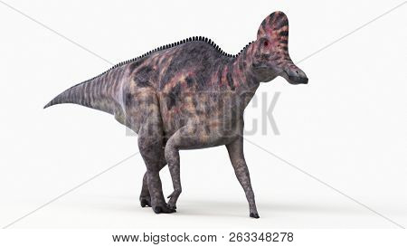 3d rendered illustration of a corythosaurus
